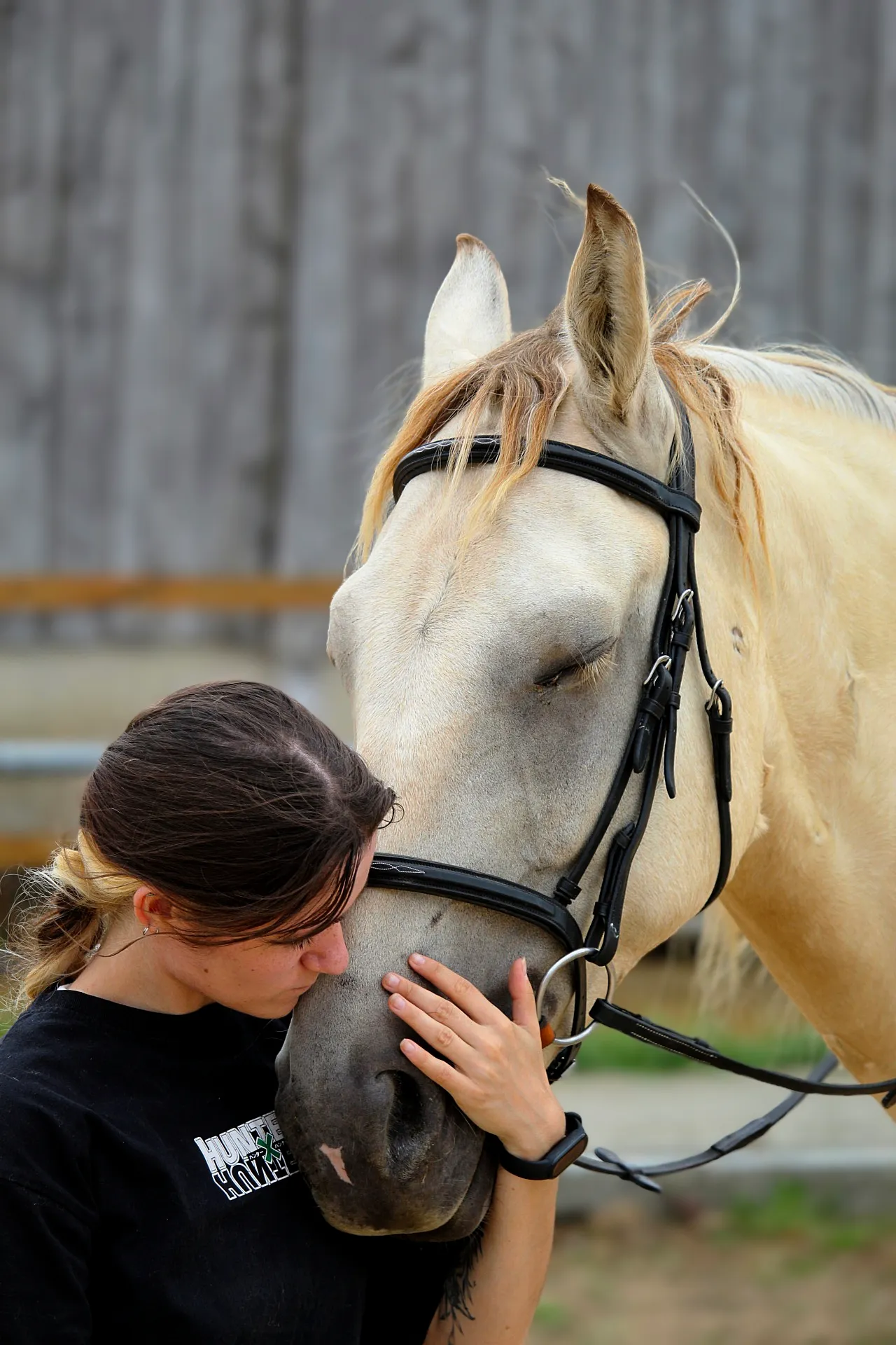 Animaux & chevaux — photo par Léa Créon Bossonnet